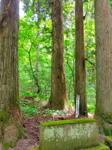 隠津島神社の自然