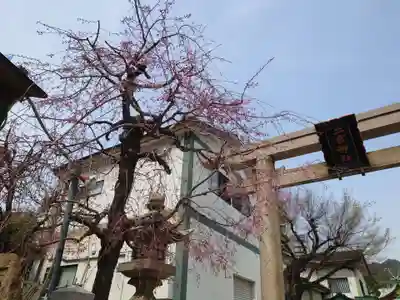 二宮神社(兵庫県)