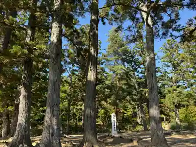 毛越寺(岩手県)