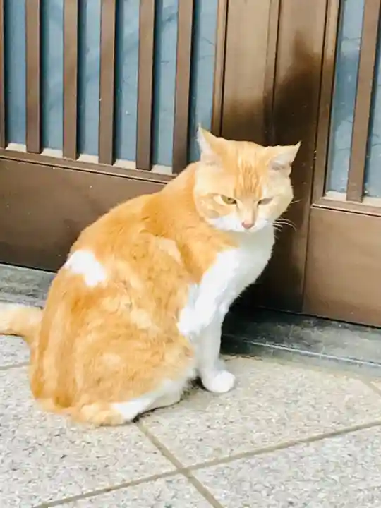 大生郷天満宮の動物