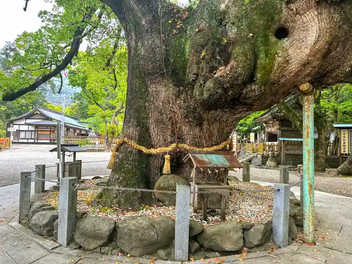 大麻比古神社(徳島県)