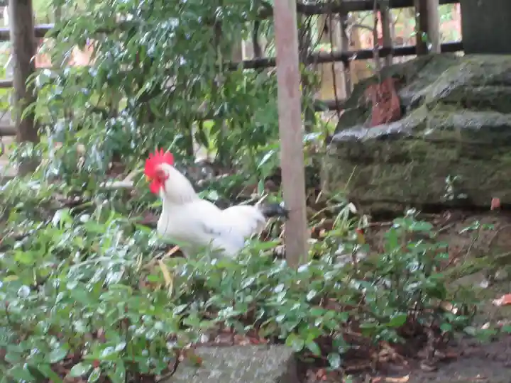 大崎八幡宮(宮城県)