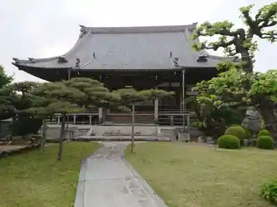 信光寺の本殿・本堂