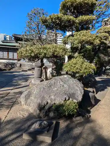 大円寺(東京都)