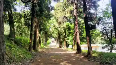 千代ケ岡八幡宮(栃木県)