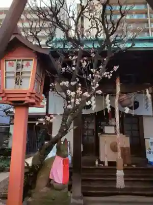 四谷於岩稲荷田宮神社(東京都)