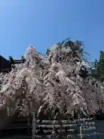 開成山大神宮の{uncategorized: "未分類", other: "その他", undefined: "問題あり", building: "その他建物", grave: "お墓", sacred_gate: "鳥居", guardian: "狛犬", statue: "像", buddha: "仏像", history: "歴史", nature: "自然", garden: "庭園", animal: "動物", pagoda: "塔", temizu: "手水舎", mountain_gate: "山門・神門", sanctuary: "本殿・本堂", subordinate: "末社・摂社", art: "芸術", scenery: "景色", jizo: "地蔵", ema: "絵馬", goshuin: "御朱印", omikuji: "おみくじ", items: "授与品その他", amulet: "お守り", goshuincho: "御朱印帳", eats: "食事", festival: "お祭り", votive_dance: "神楽", shichigosan: "七五三参", wedding: "結婚式", experience: "体験その他", initially: "初詣", around: "周辺", anti_infection: "感染症対策"}