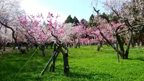 北海道神宮の庭園