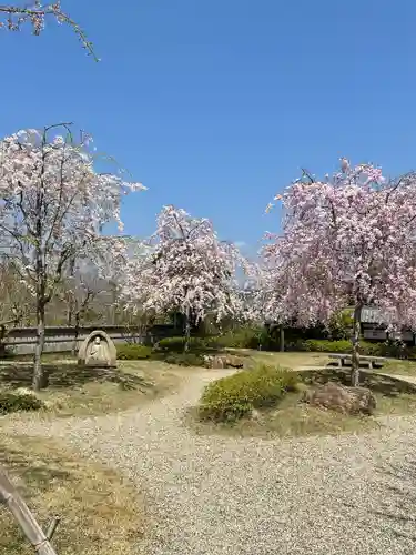 圓光寺の庭園