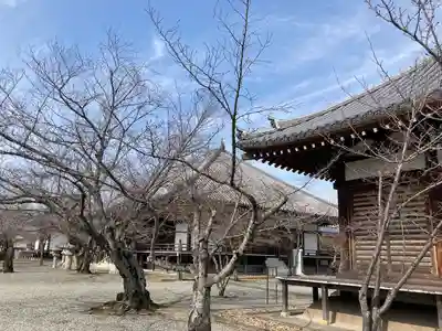 教信寺のその他建物