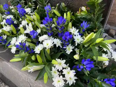 上尾御嶽神社の手水舎
