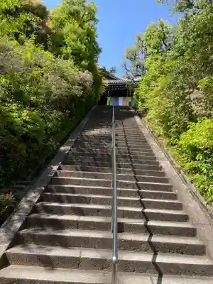 光明寺（粟生光明寺）(京都府)