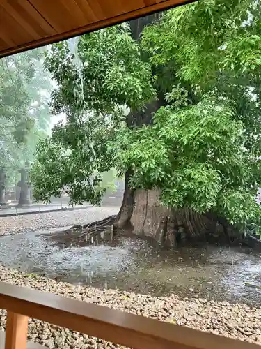 上野東照宮(東京都)