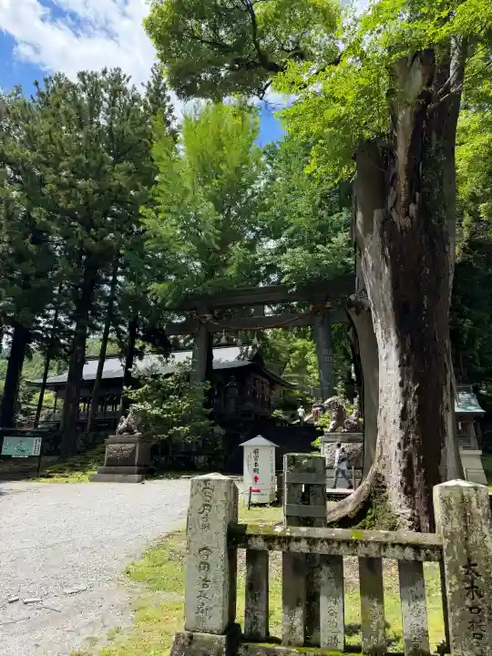 諏訪大社上社前宮(長野県)