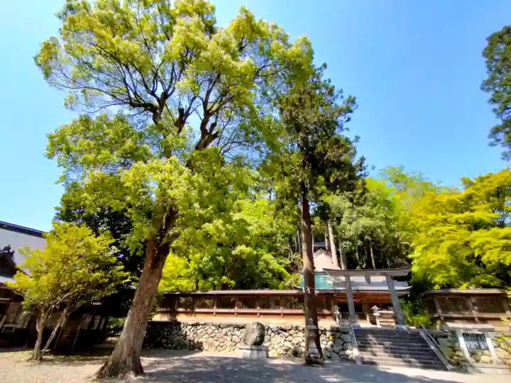 丹生川上神社(下社)(奈良県)