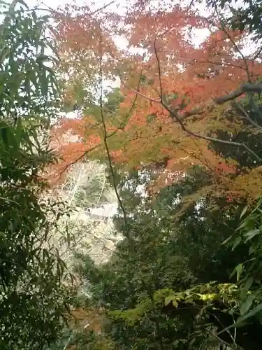 安國論寺(安国論寺)の自然