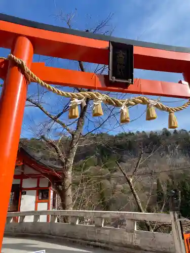 金櫻神社の鳥居