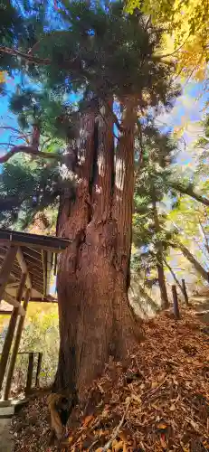 木幡山隠津島神社(二本松市)の周辺