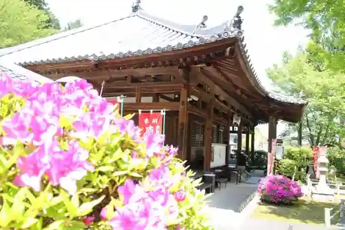 理智院の本殿・本堂