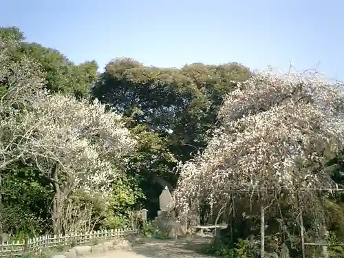 宝戒寺の庭園