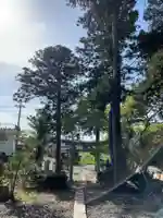 諏訪神社(千葉県)