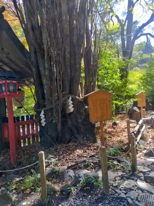 貴船神社(京都府)