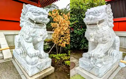 浅草寺の狛犬