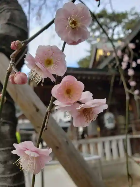 布多天神社(東京都)