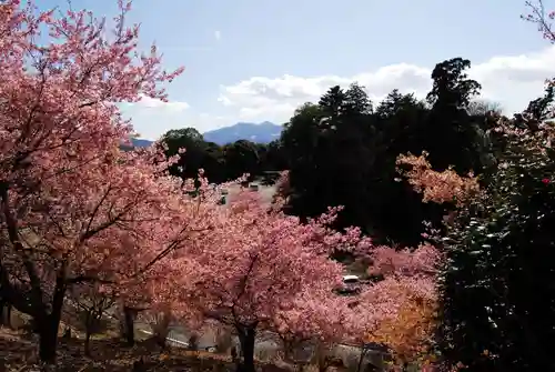 楽法寺（雨引観音）の景色