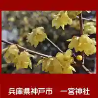 一宮神社の自然