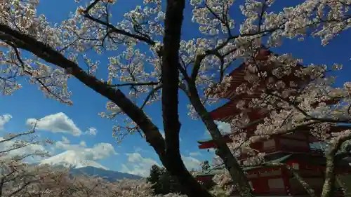 新倉富士浅間神社の建物その他