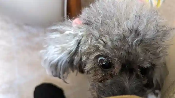 善行院(京都府)