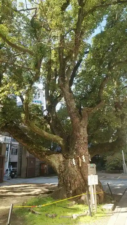 難波神社のその他建物