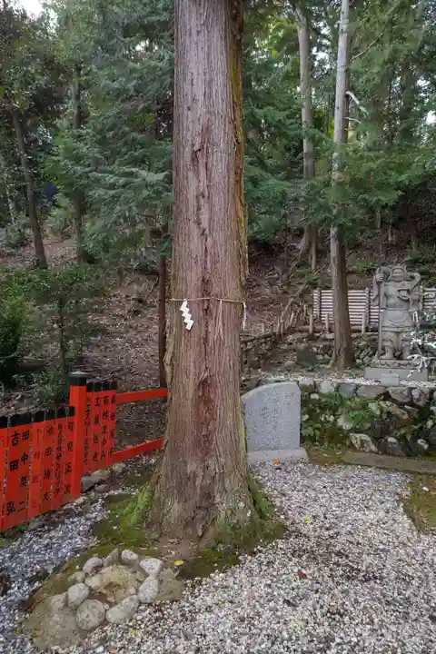 御髪神社の自然