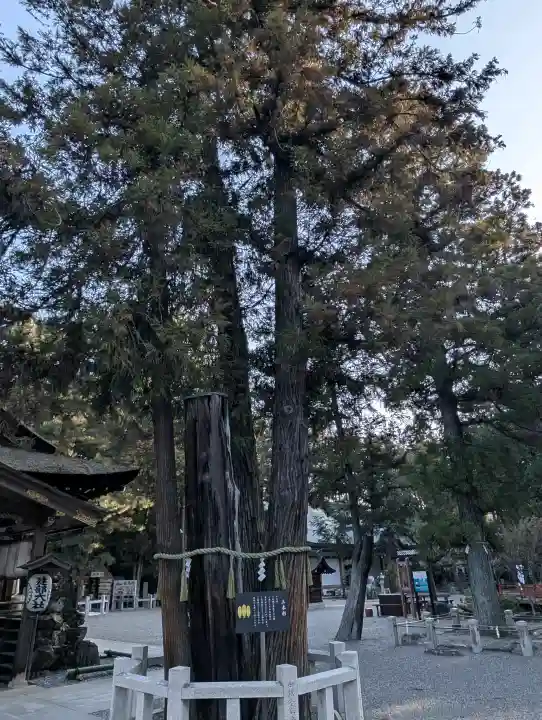 建部大社の{uncategorized: "未分類", other: "その他", undefined: "問題あり", building: "その他建物", grave: "お墓", sacred_gate: "鳥居", guardian: "狛犬", statue: "像", buddha: "仏像", history: "歴史", nature: "自然", garden: "庭園", animal: "動物", pagoda: "塔", temizu: "手水舎", mountain_gate: "山門・神門", sanctuary: "本殿・本堂", subordinate: "末社・摂社", art: "芸術", scenery: "景色", jizo: "地蔵", ema: "絵馬", goshuin: "御朱印", omikuji: "おみくじ", items: "授与品その他", amulet: "お守り", goshuincho: "御朱印帳", eats: "食事", festival: "お祭り", votive_dance: "神楽", shichigosan: "七五三参", wedding: "結婚式", experience: "体験その他", initially: "初詣", around: "周辺", anti_infection: "感染症対策"}
