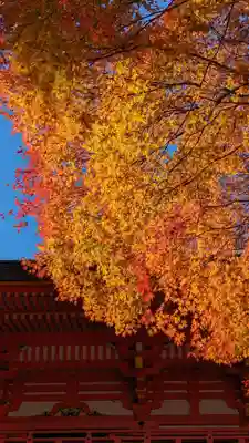 近江神宮(滋賀県)