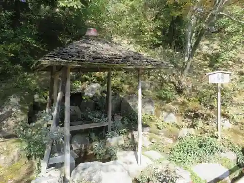 鹿苑寺（金閣寺）の自然