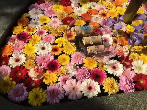 荘内神社(山形県)