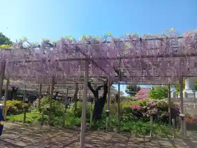 曼陀羅寺(愛知県)