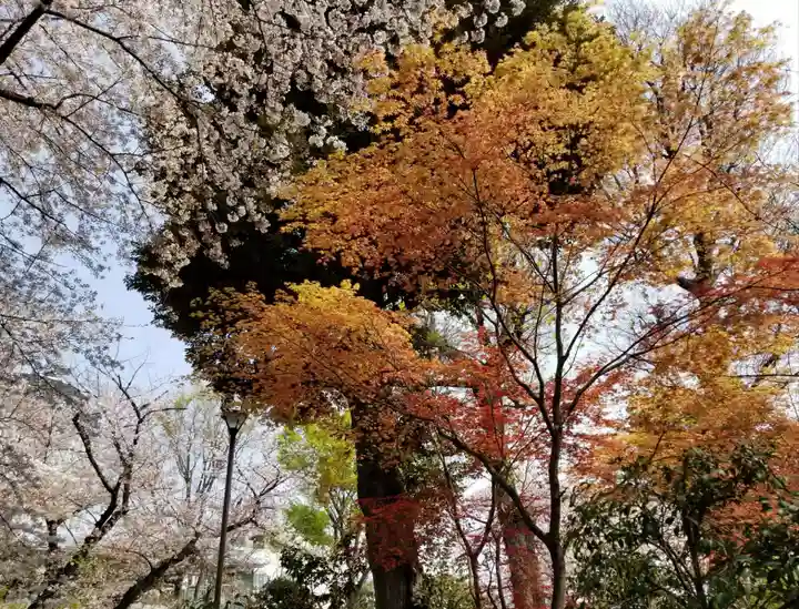 白山神社の自然