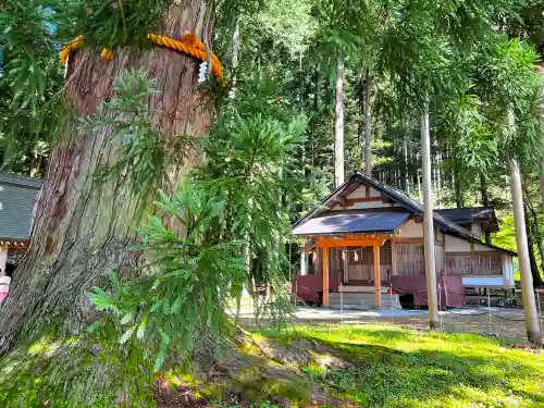 槻本神社(岐阜県)