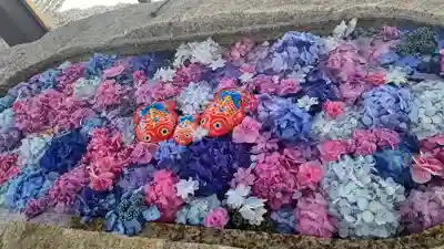 金井神社の手水舎