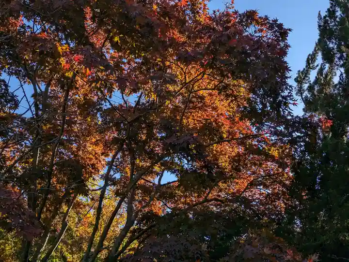 浄妙寺(神奈川県)