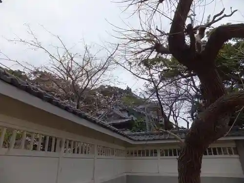 龍口寺の建物その他