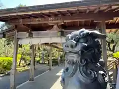 大井神社の狛犬