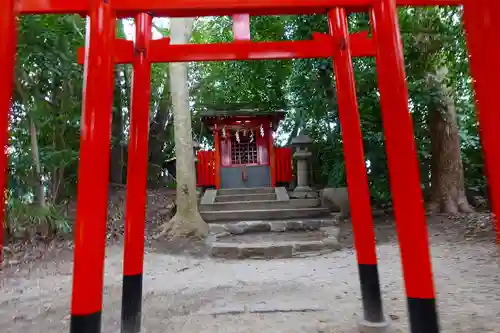 亀之森住吉神社の鳥居