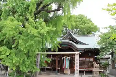 白山神社の本殿・本堂