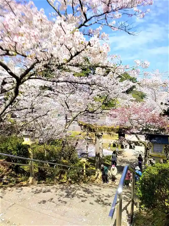 武雄神社の自然