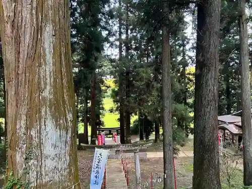 大宮温泉神社(栃木県)