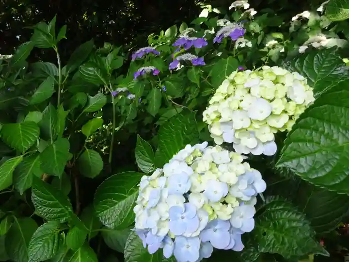 阿邪訶根神社の自然
